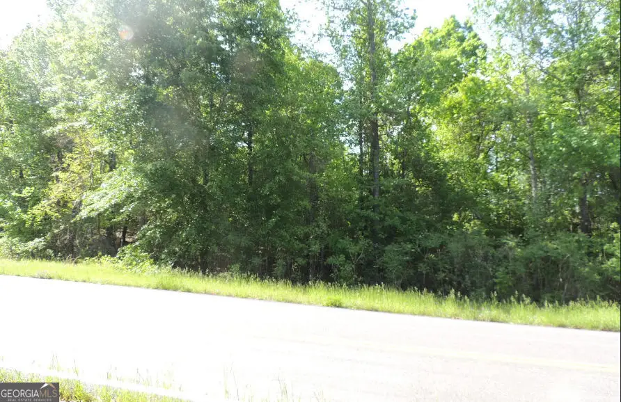 0 Causey Road, Knoxville, GA 31050 - #2