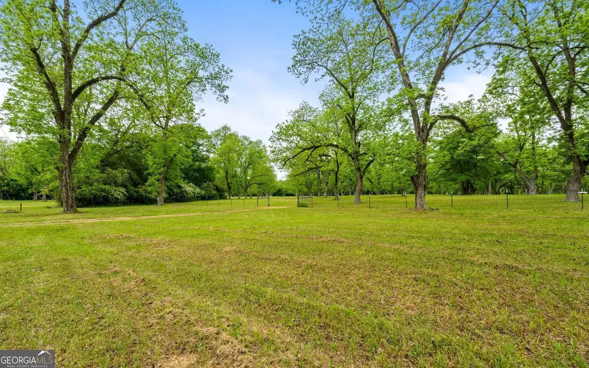 117 Zebulon Street, Milner, GA 30257 - #1