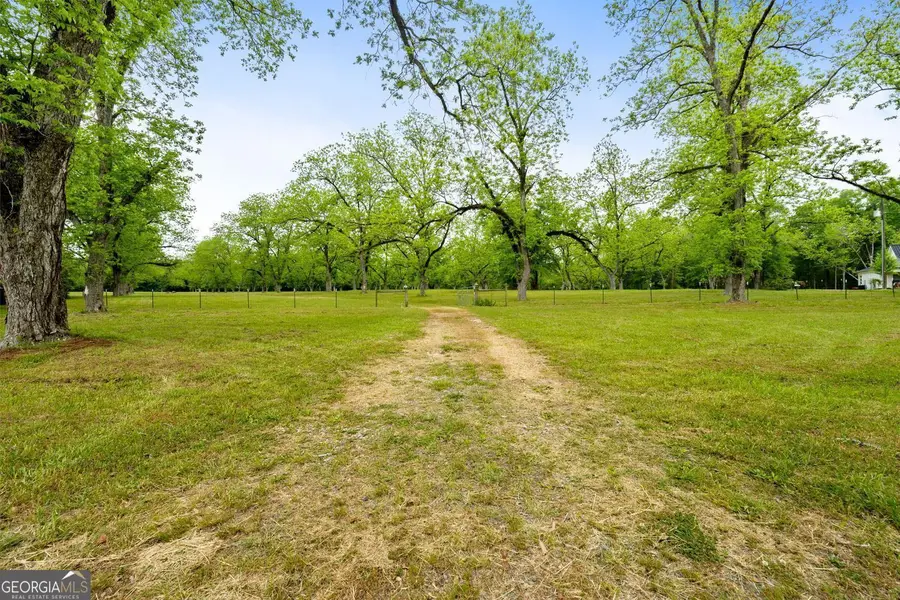 117 Zebulon Street, Milner, GA 30257 - #2