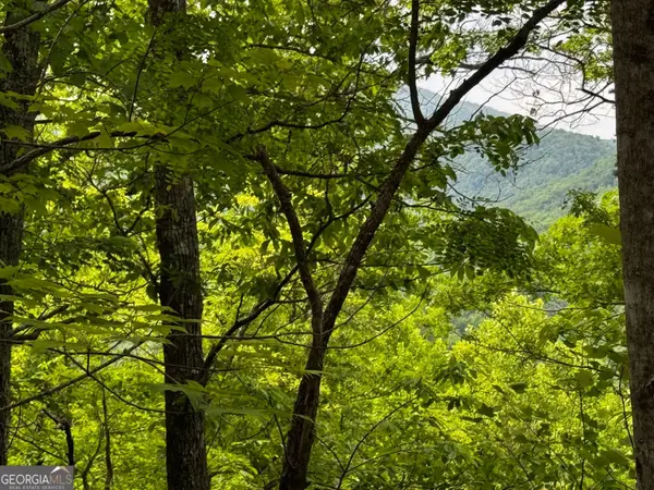 #6 Pounding Mill Overlook, Hayesville, NC 28904