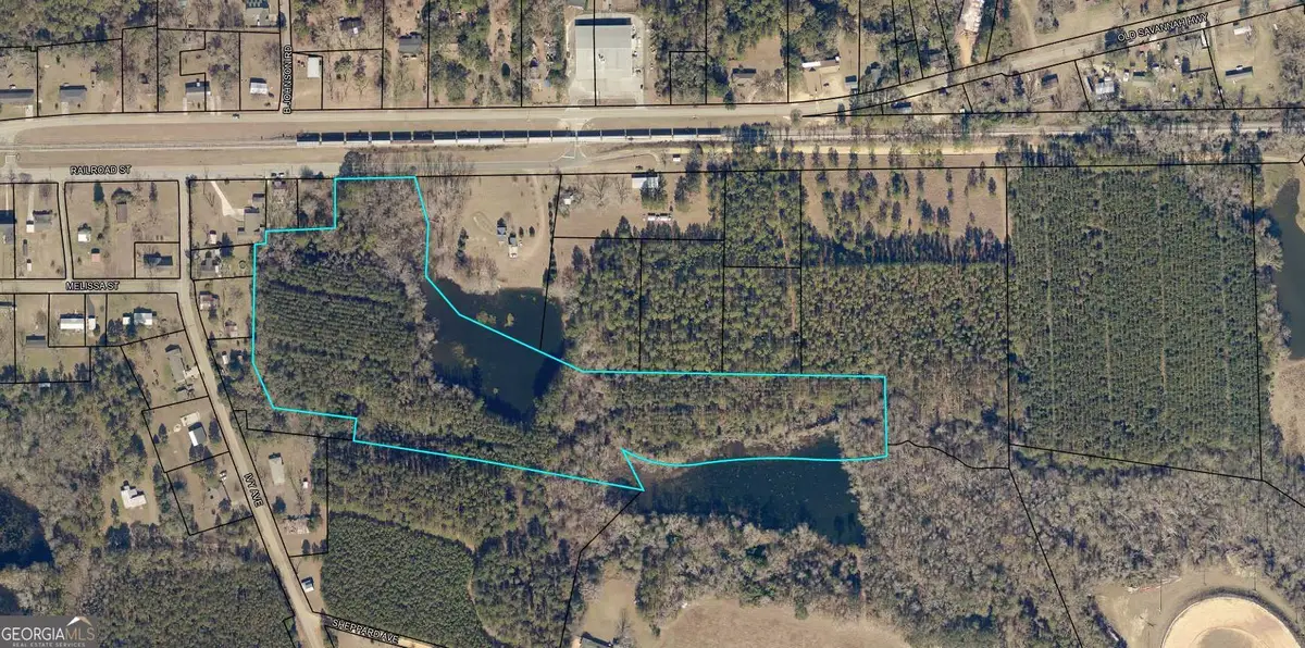 01 Railroad Street, Daisy, GA 30423 - #1