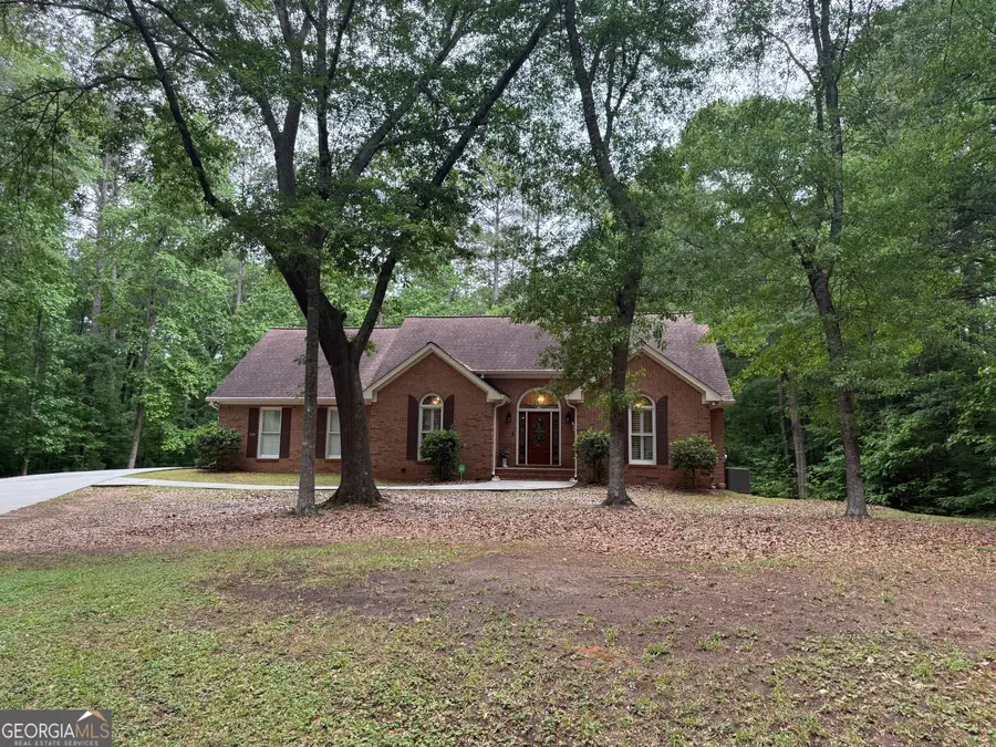 155 Thistle Lane, Fayetteville, GA 30215 - #2