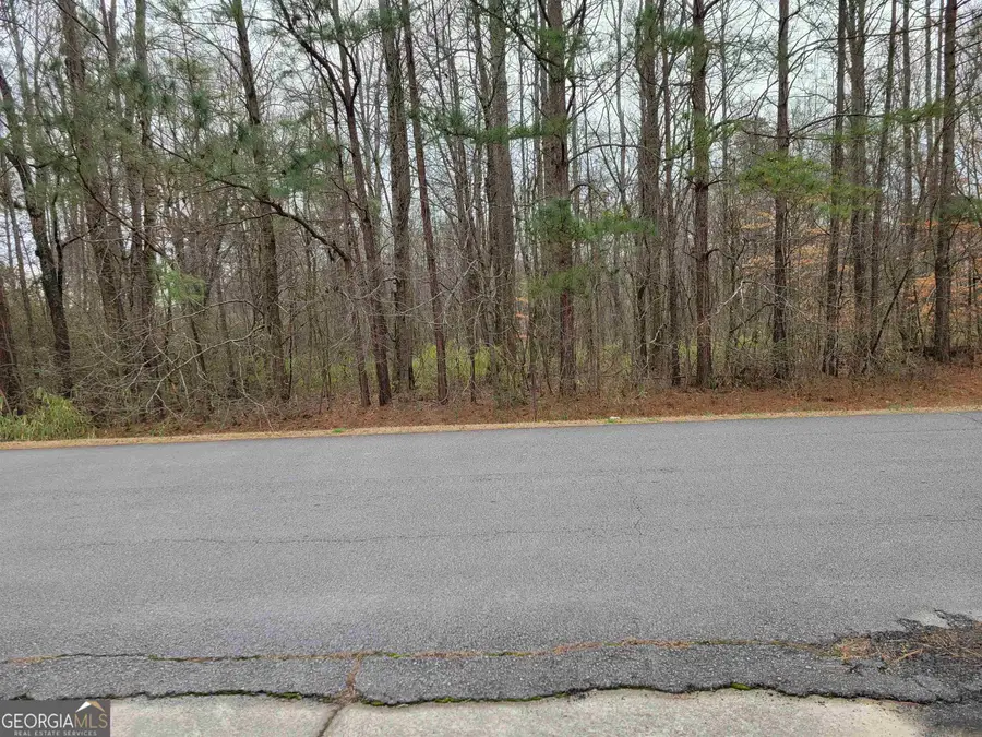 0 Lakeridge Drive, Temple, GA 30179 - #3