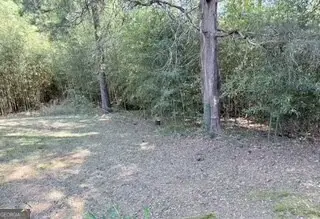 2491 Athens Highway, Madison, GA 30650 - #3