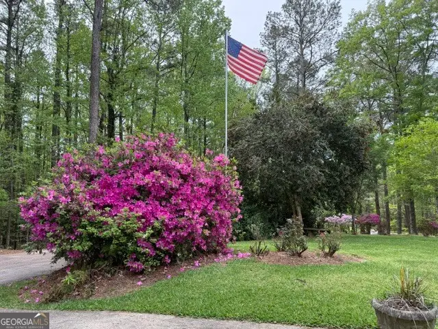 717 Tyrone Road, Tyrone, GA 30290 - #2