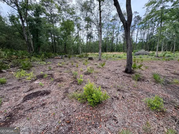 0 Piney Bluff Lot 5 Road, Waverly, GA 31565