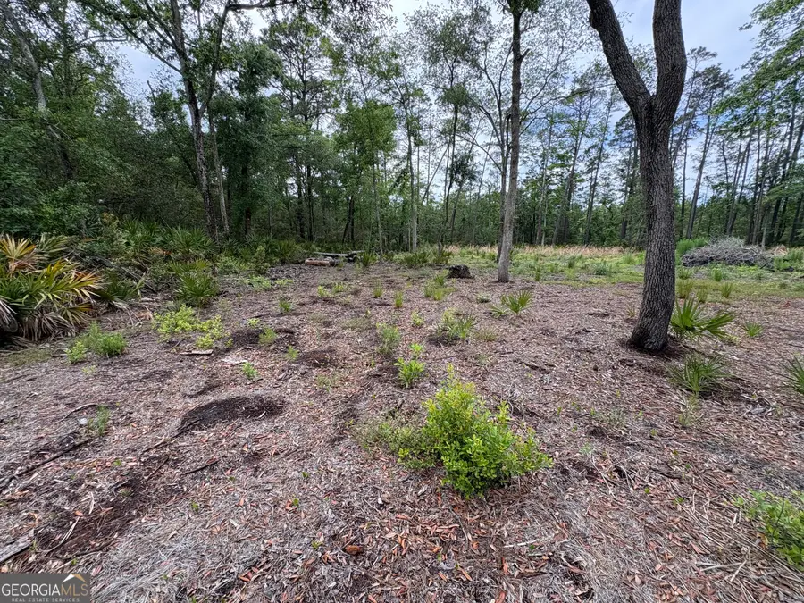 0 Piney Bluff Lot 5 Road, Waverly, GA 31565 - #3