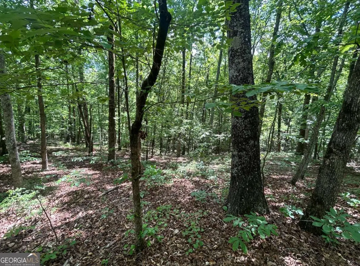 0 Fouts Mill Rd, Douglasville, GA 30135 - #1