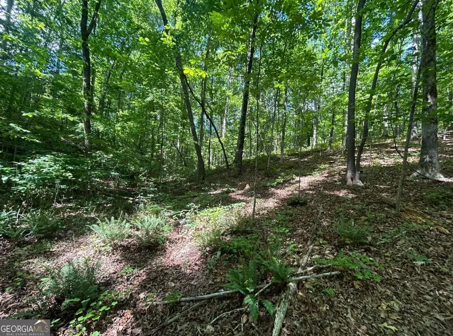 0 Fouts Mill Rd, Douglasville, GA 30135 - #2