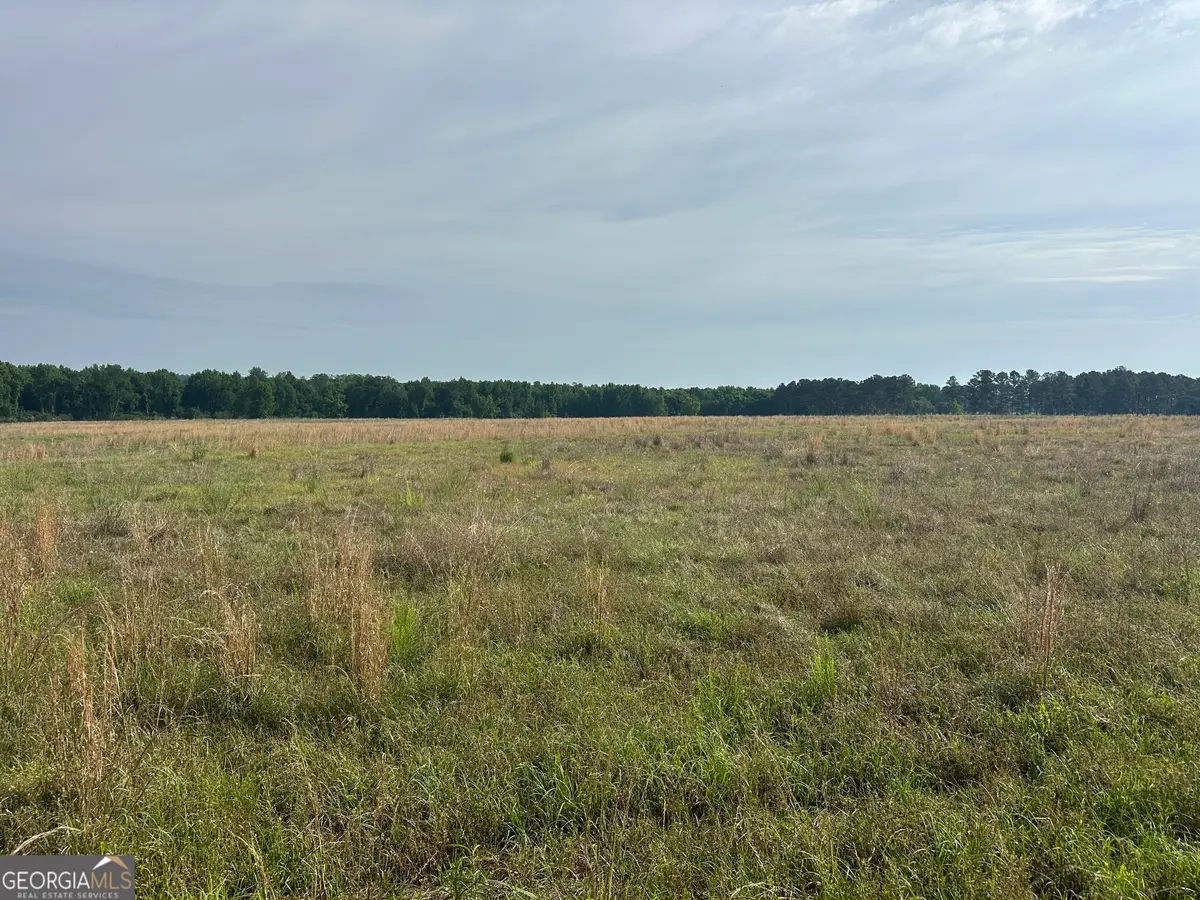 1309 Jarrell Pond Road, Sylvania, GA 30467 - #1