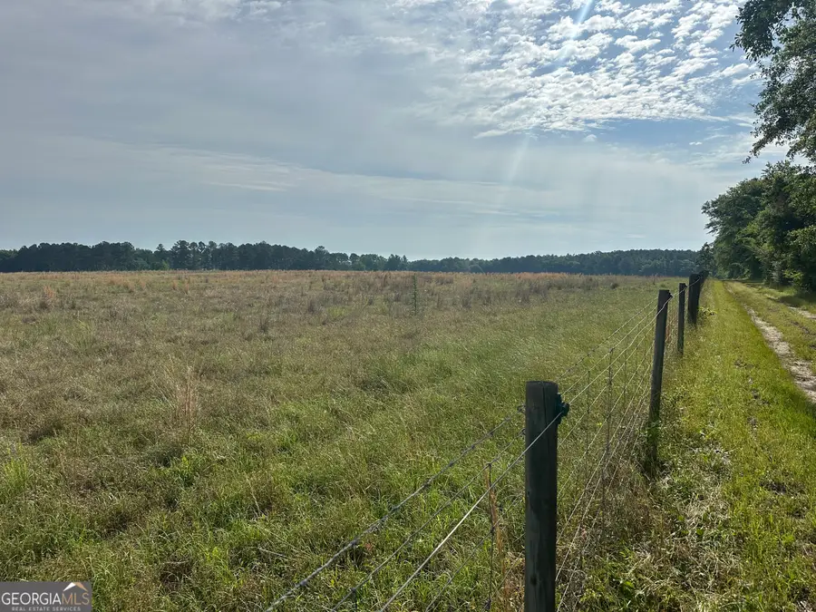 1309 Jarrell Pond Road, Sylvania, GA 30467 - #3