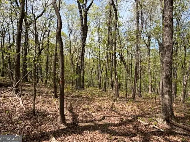 LOT 26 Falcons Nest #26, Jasper, GA 30143 - #1