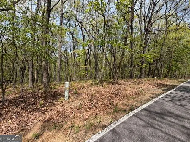 LOT 26 Falcons Nest #26, Jasper, GA 30143 - #3