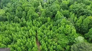 0 Wildlife Lake Road, Summerville, GA 30747 - #1