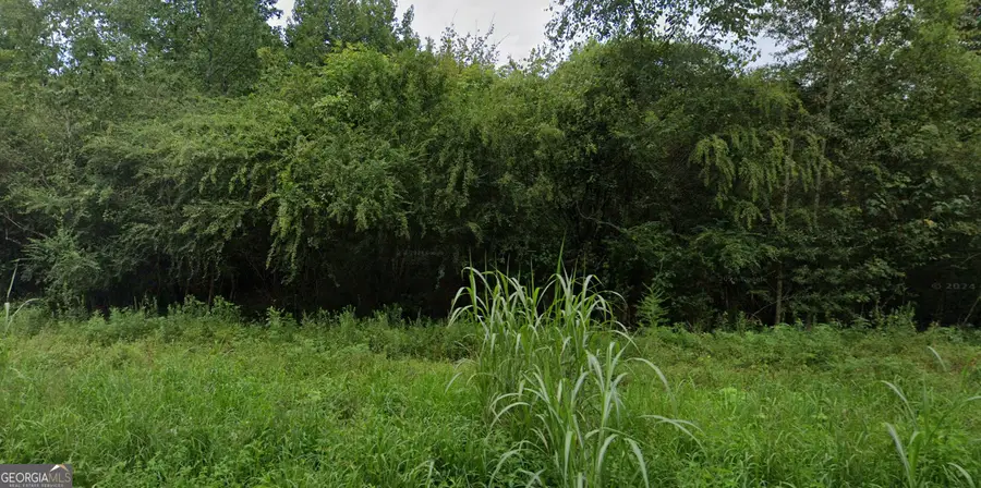 0 Wildlife Lake Road, Summerville, GA 30747 - #2