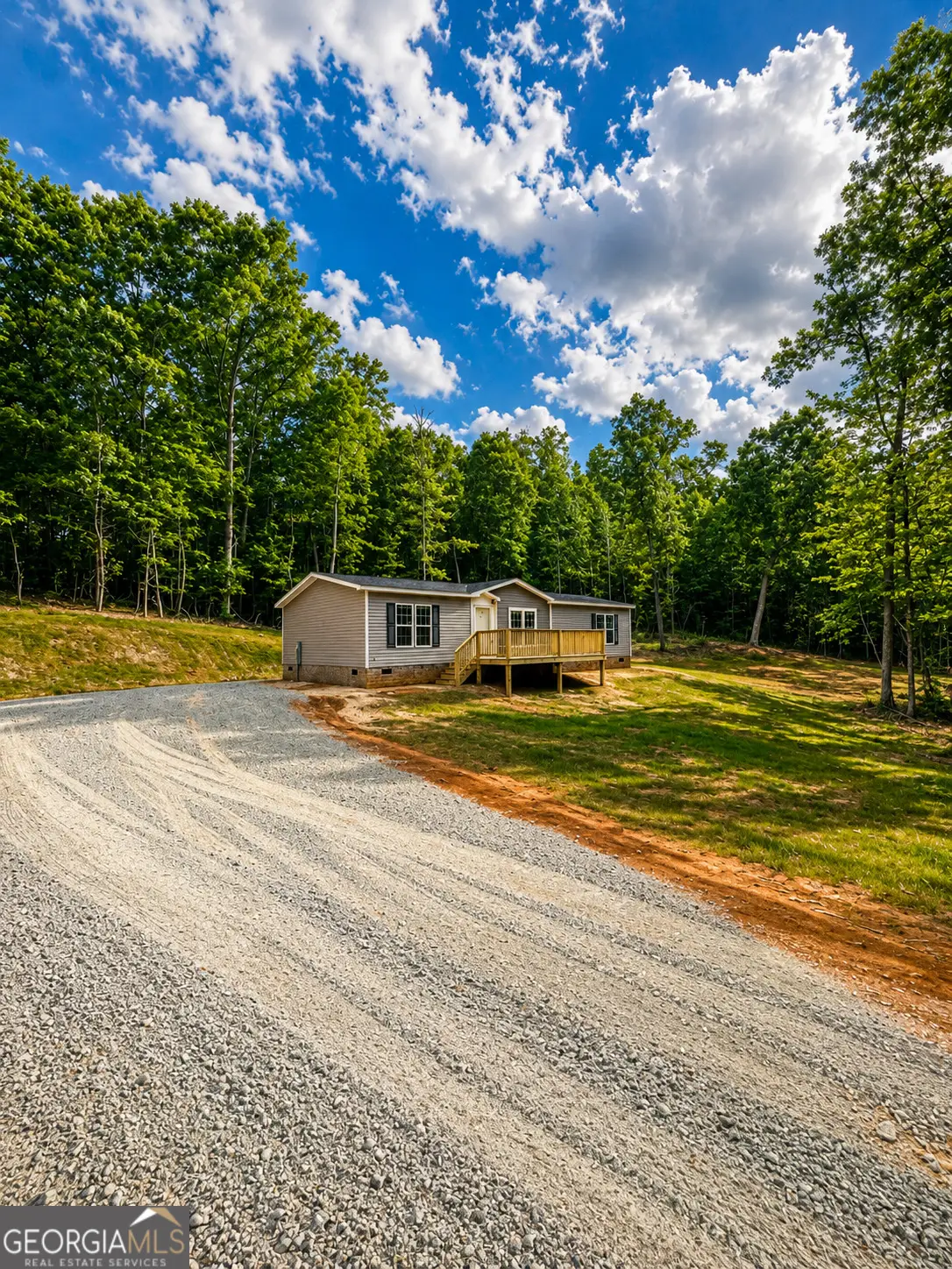 437 Hall, Franklin, GA 30217 - #1