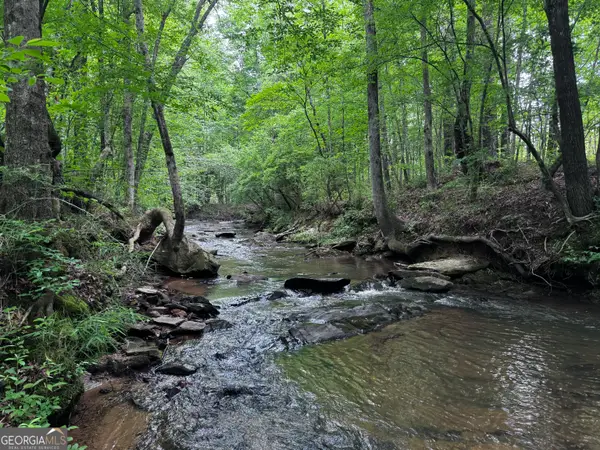 715+/- AC Ridgeway Road, Franklin, GA 30217