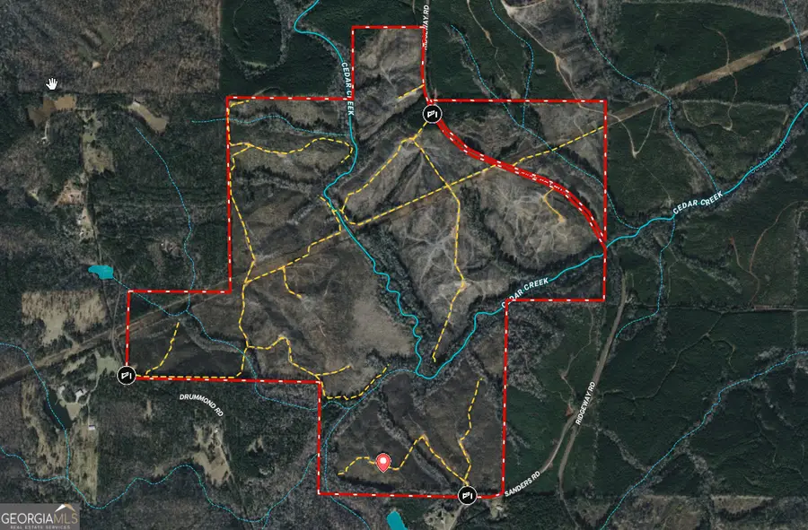 715+/- AC Ridgeway Road, Franklin, GA 30217 - #2