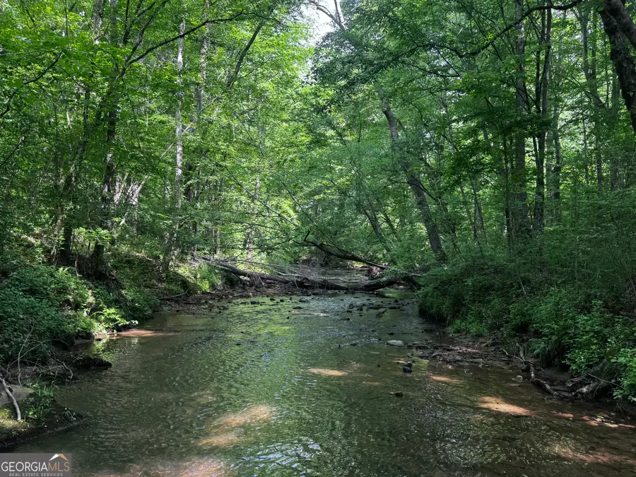 715+/- AC Ridgeway Road, Franklin, GA 30217 - #3