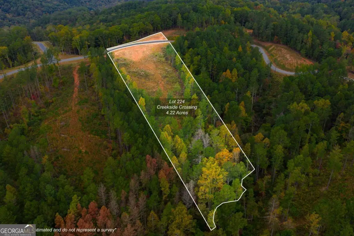 LOT 224 West Vista Ridge Parkway, Talking Rock, GA 30175 - #1