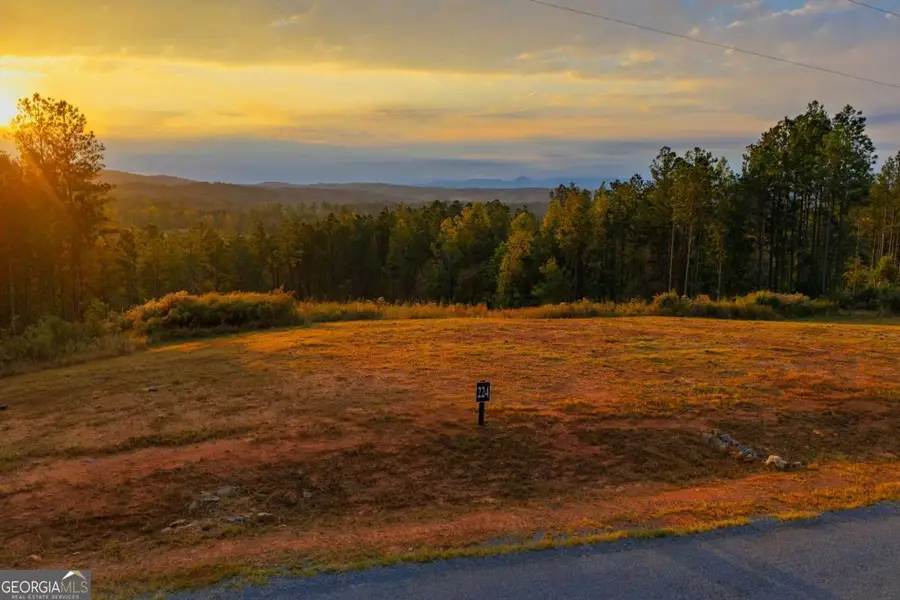LOT 224 West Vista Ridge Parkway, Talking Rock, GA 30175 - #3