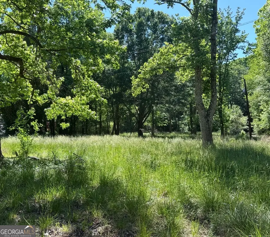 36 Marie Street, Temple, GA 30179 - #3