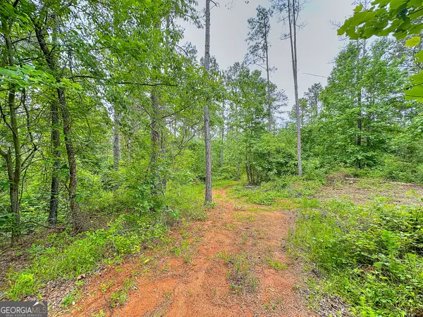 0 Rollin Mill #TRACT 6, Franklin, GA 30217