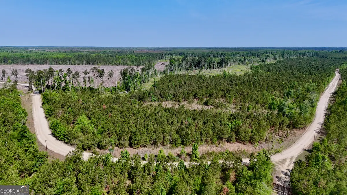 0 Tillman Cemetery Road, Lumber City, GA 31549 - #1