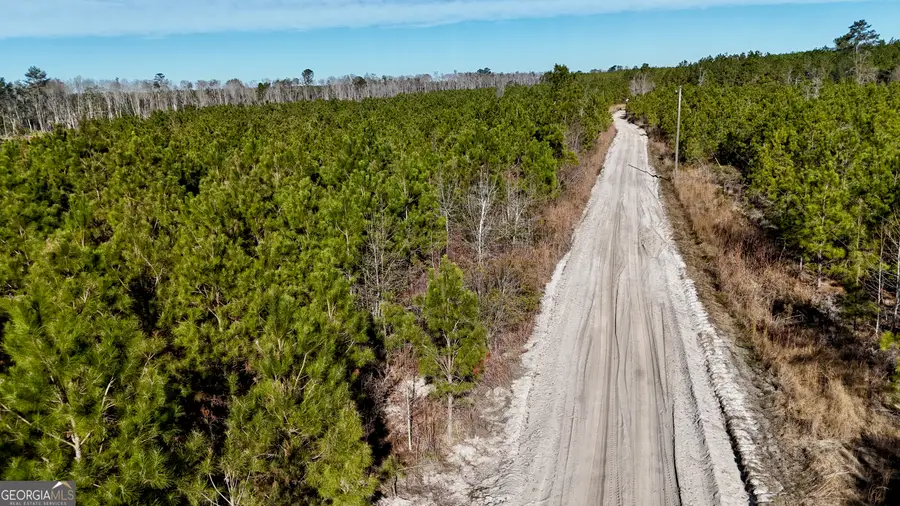 0 Tillman Cemetery Road, Lumber City, GA 31549 - #3