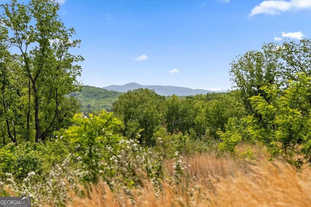 LOT 237 Highgrove Drive, Talking Rock, GA 30175 - #1