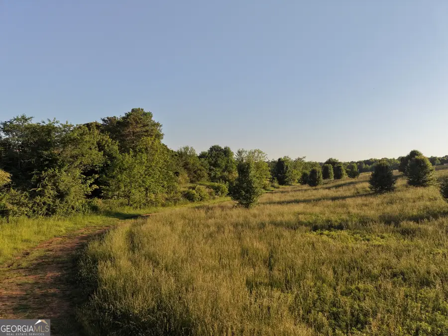 2101 Cody Road, Mount Airy, GA 30563 - #3