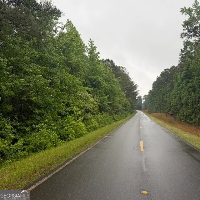 145 +/- ACRES George Smith Road, Talbotton, GA 31827 - #2