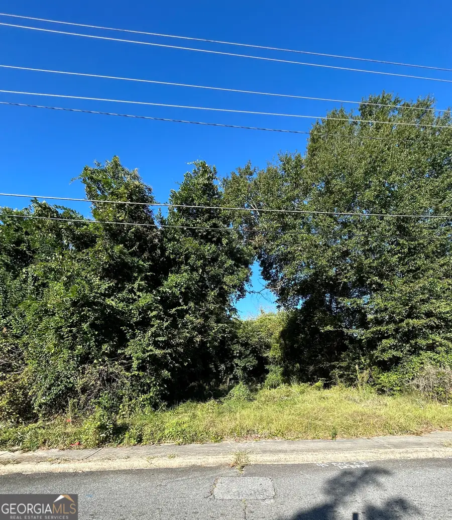 734 Fort Hill Street, Macon, GA 31217 - #2