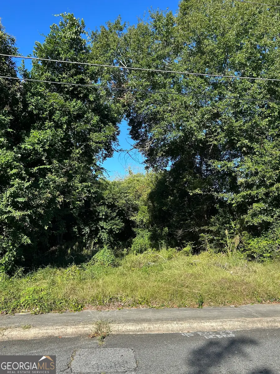 734 Fort Hill Street, Macon, GA 31217 - #3