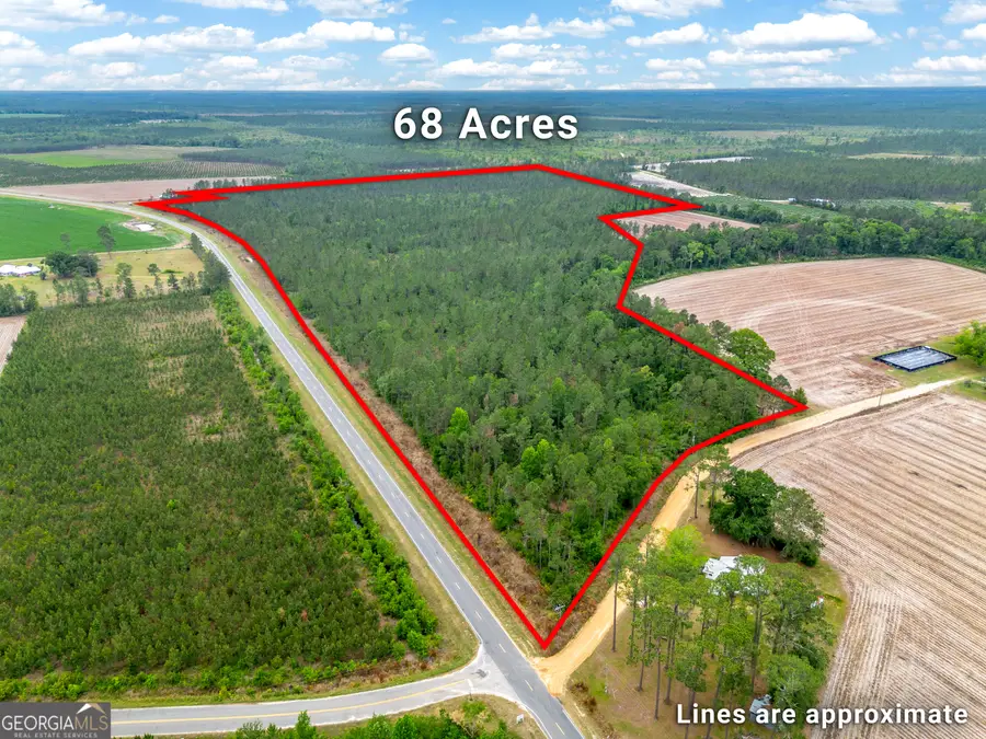 110 Lees Chapel Road, Nicholls, GA 31554 - #3
