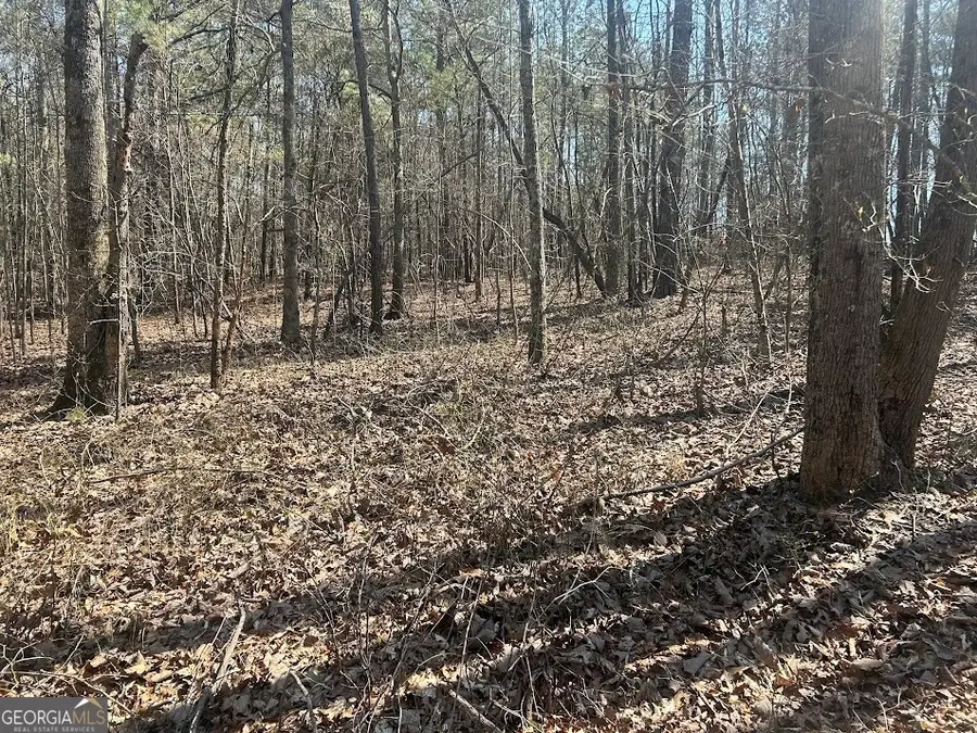 2A Clower Drive, Bowdon, GA 30108 - #3