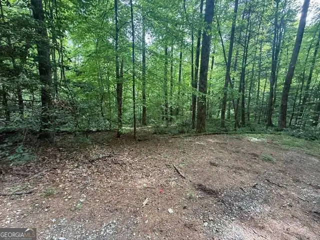 389 Fox Trot Road #TRACT B, Clayton, GA 30525 - #1