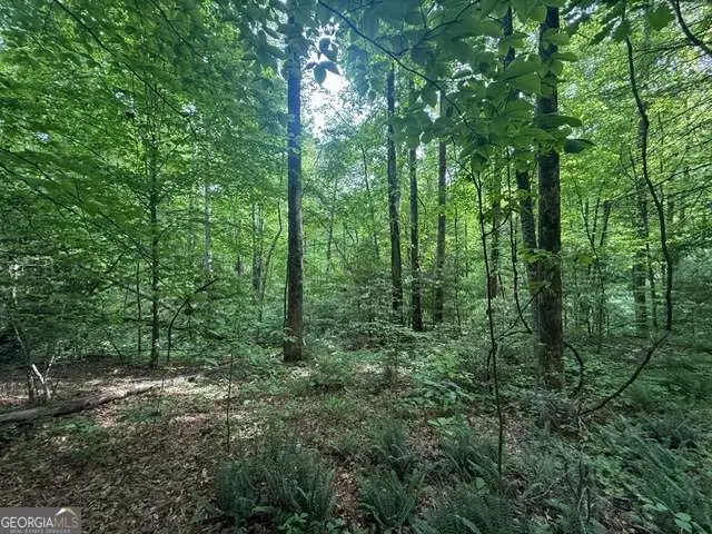 389 Fox Trot Road #TRACT B, Clayton, GA 30525 - #2
