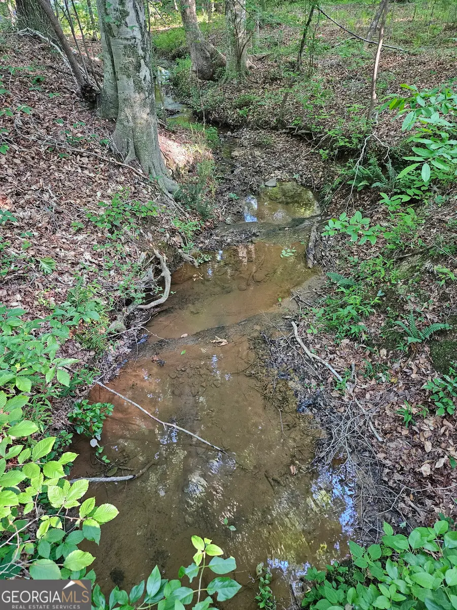 0 Ponderosa, Dallas, GA 30132 - #2