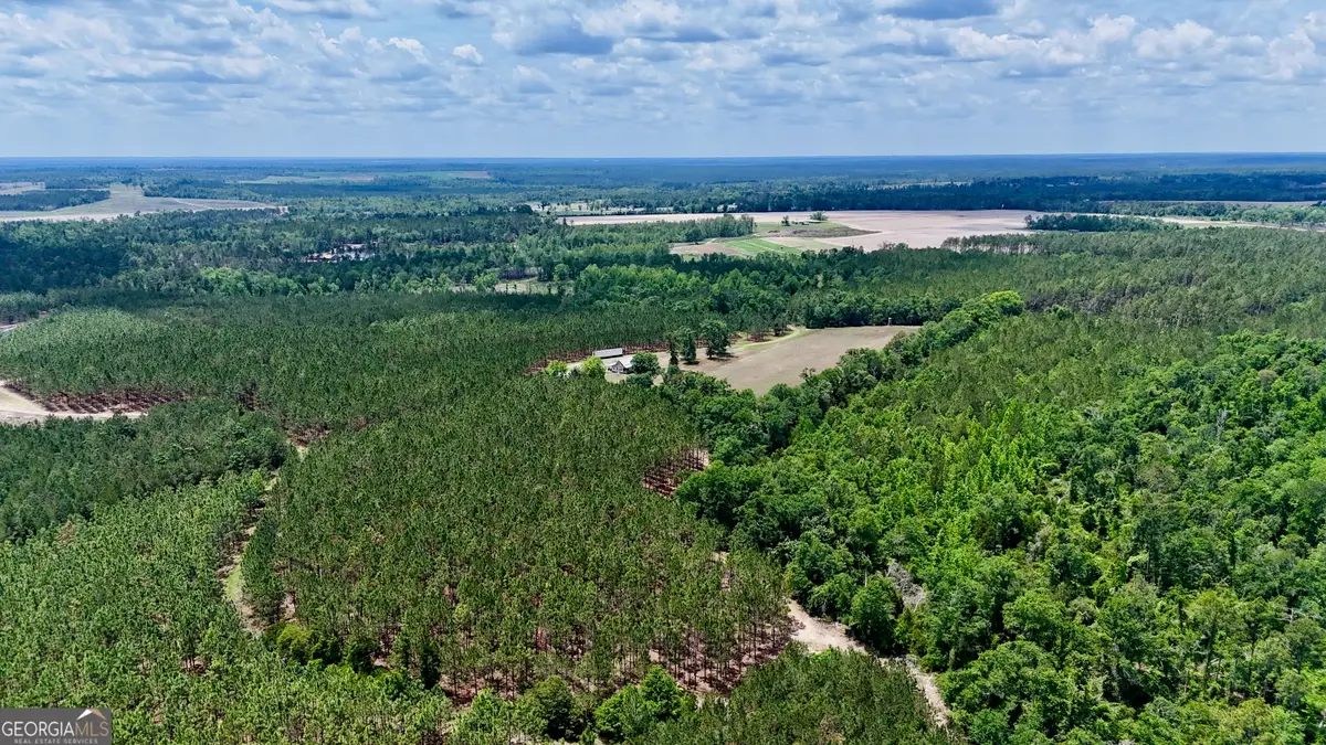0 Neily Wagon Road, McRae-helena, GA 31055 - #1