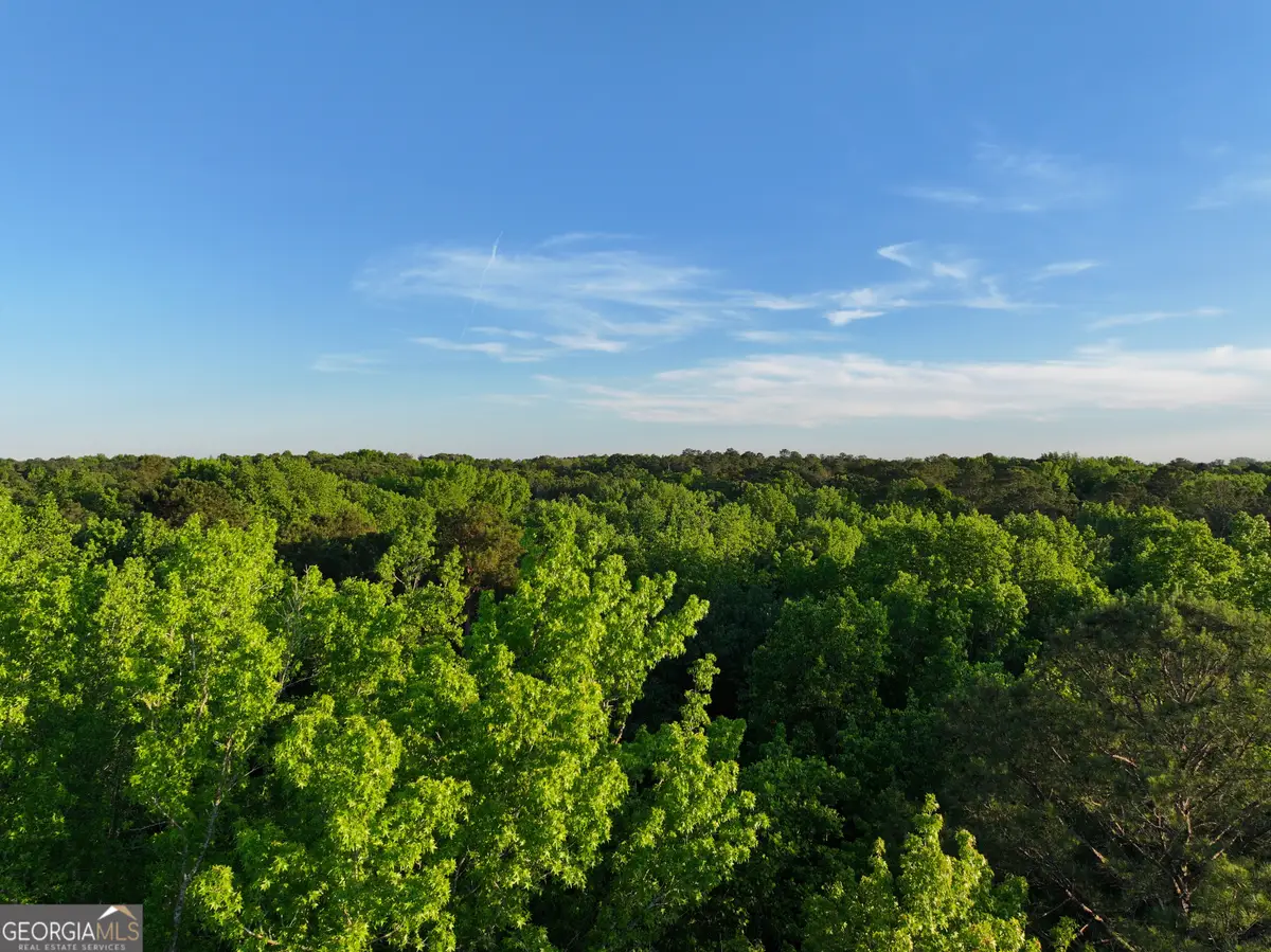 0 Standing Rock Road, Senoia, GA 30276 - #1