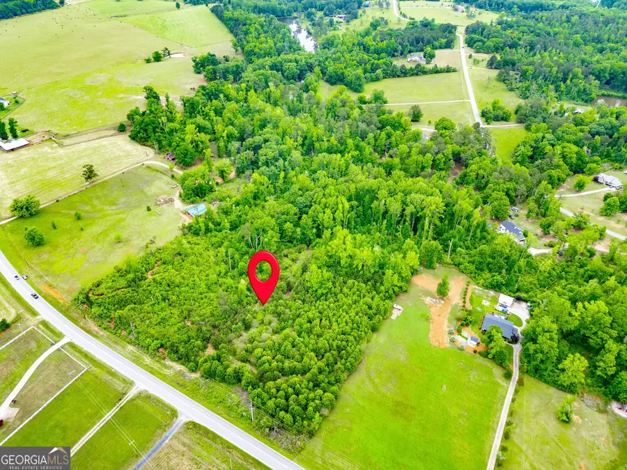 1395 Rover Zetella Road, Williamson, GA 30292 - #2