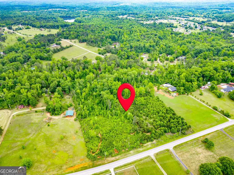 1395 Rover Zetella Road, Williamson, GA 30292 - #3