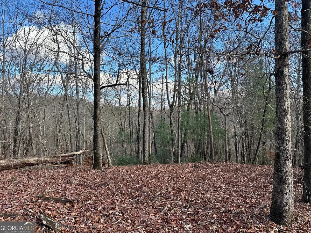 200 Mincey Acres Drive, Murrayville, GA 30564 - #1