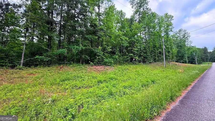 0 Largent Trail, Tallapoosa, GA 30176 - #3