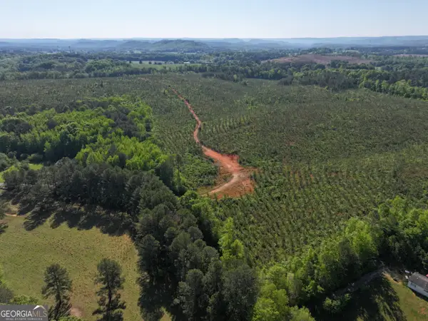 118 +/- Acres On Lumpkin Rd., Cedartown, GA 30125