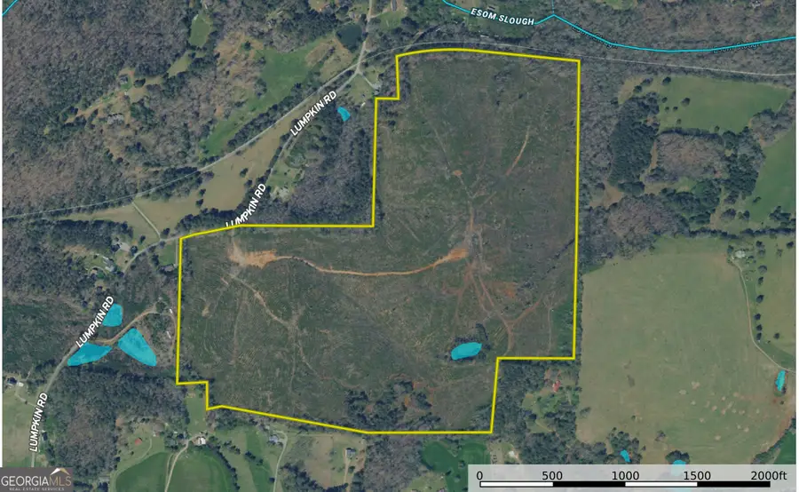 118 +/- Acres On Lumpkin Rd., Cedartown, GA 30125 - #2