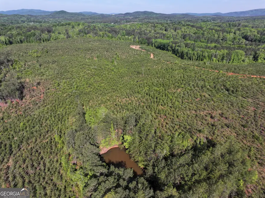 118 +/- Acres On Lumpkin Rd., Cedartown, GA 30125 - #3