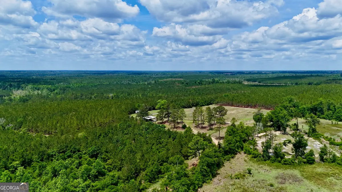 0 Neily Wagon Road, McRae-helena, GA 31055 - #1