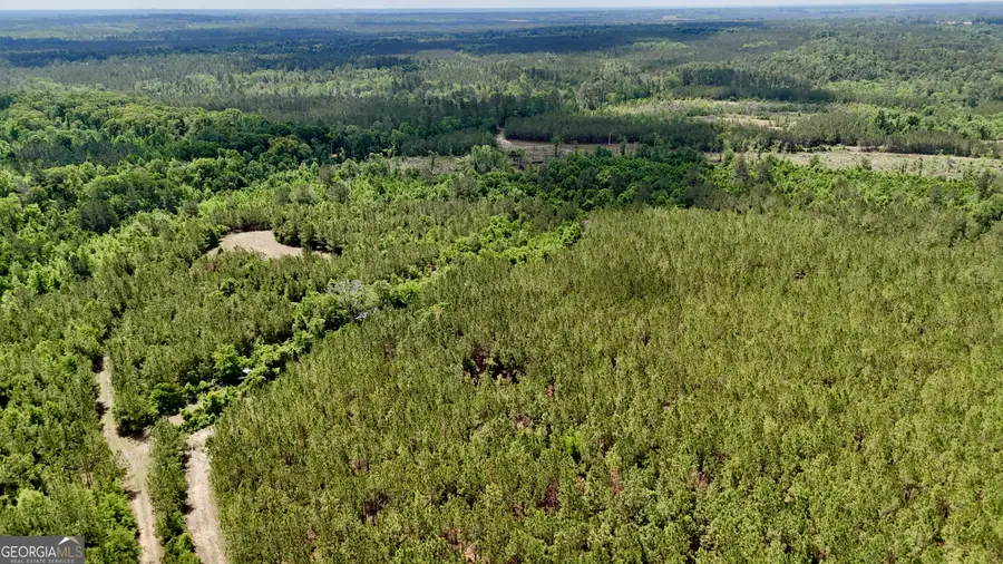 0 Neily Wagon Road, McRae-helena, GA 31055 - #2